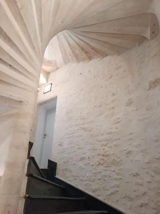 Appartement Centre Ville Historique Avec Terrasse Et Climatise Périgueux Zewnętrze zdjęcie